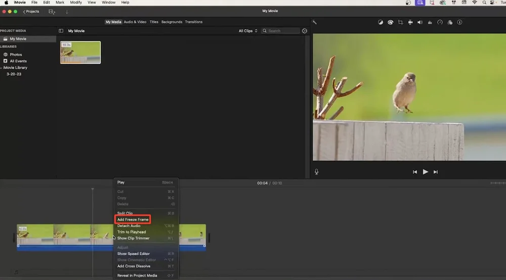 заморозка кадра