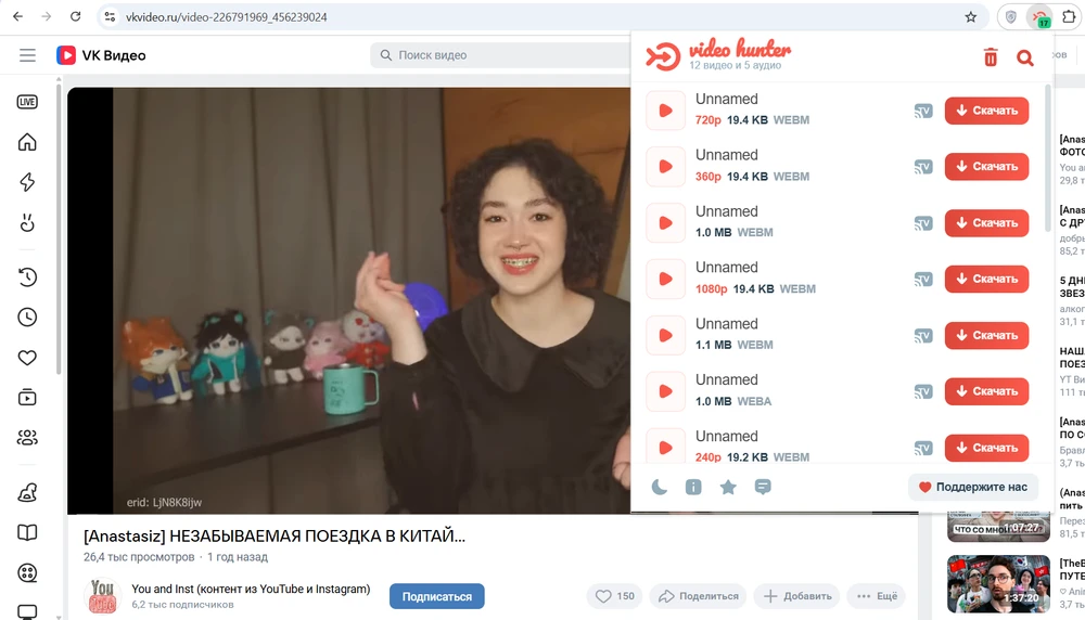 Video Hunter Downloader