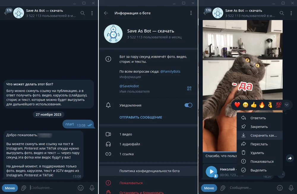 Интерфейс SaveYoutubeBot