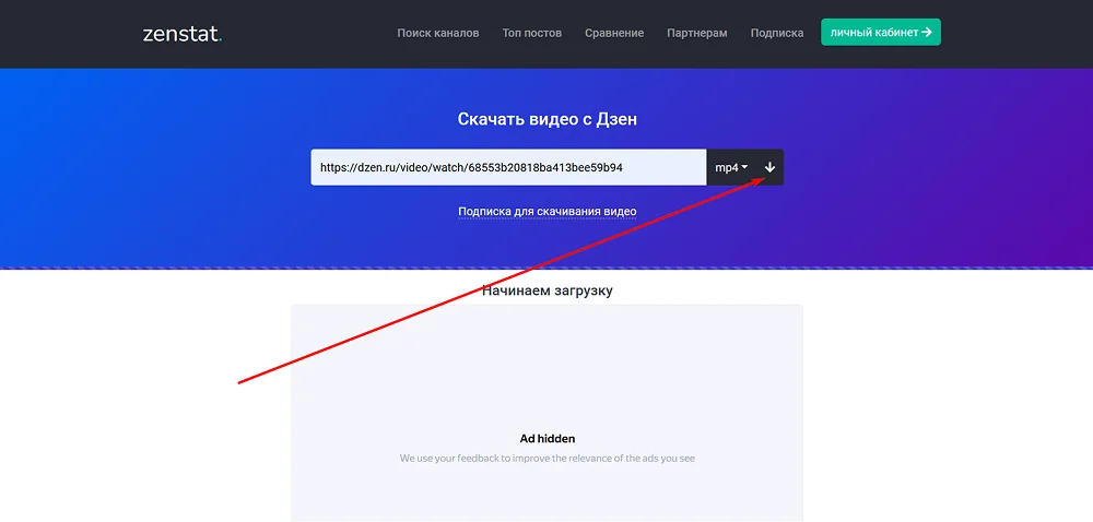 интерфейс Zenstat