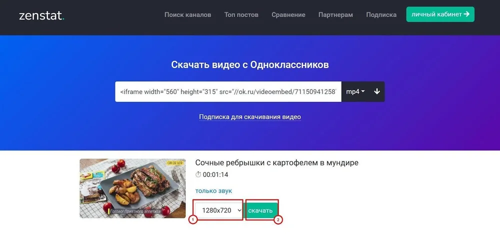 скачивание видео в Zenstat